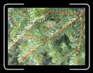 1.Mai-Ausflug 013 * 2848 x 2136 * (2.96MB)